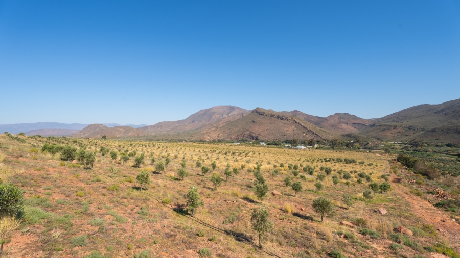 11 Bedroom Property for Sale in Robertson Western Cape